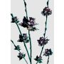 Notes Narcissus A5/64/100g linia Kwiaty - 2